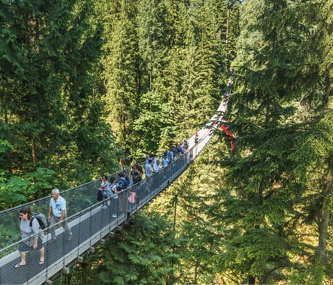 Capilano Suspension Bridge