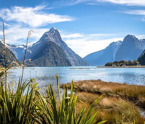 Milford Sound
