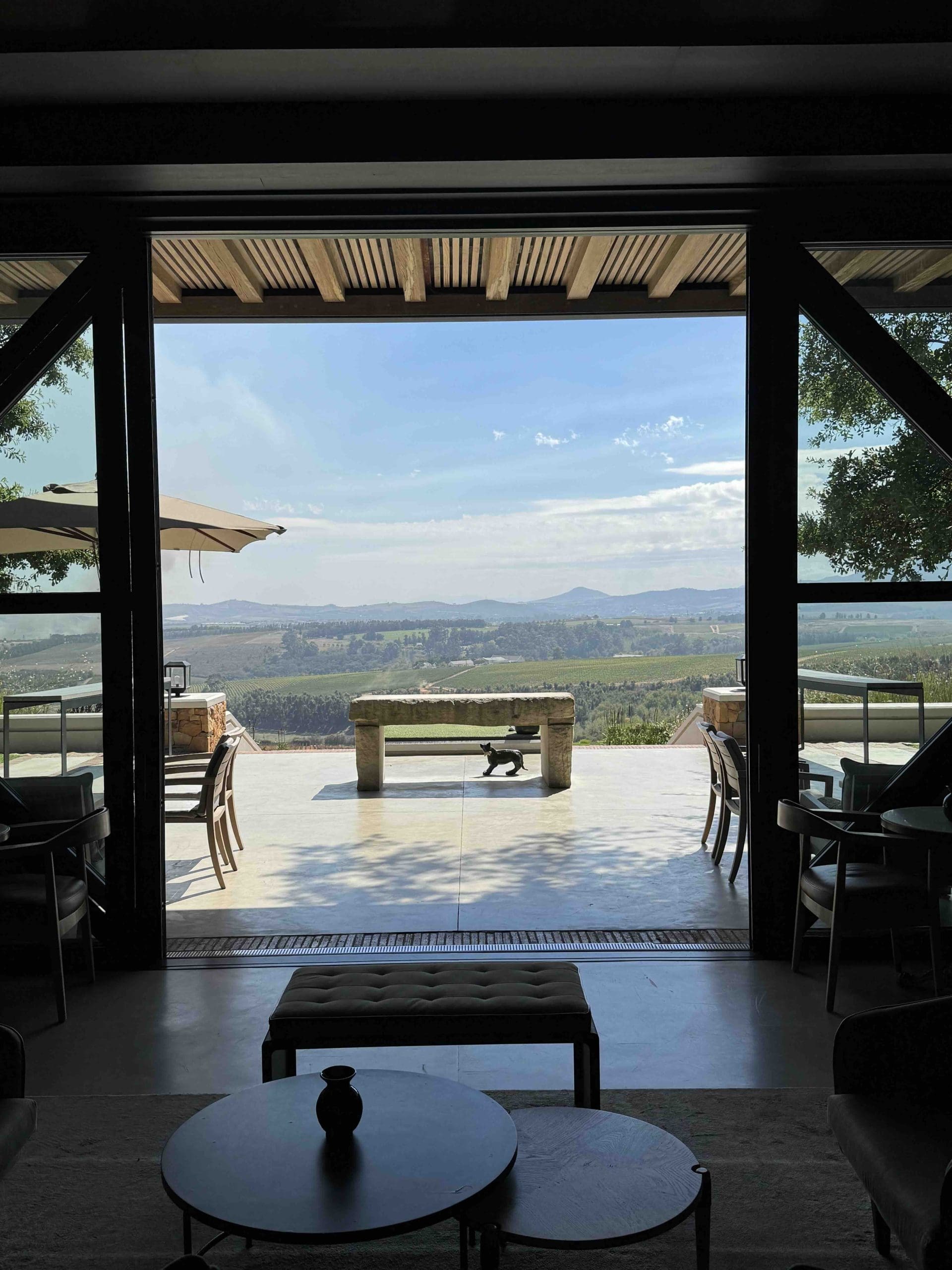 Stellenbosch Vineyard Tour & Lunch